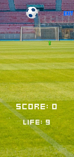 worldcup Screenshot 1