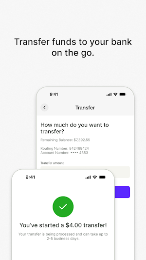 Paysafe Business Experience Screenshot 2