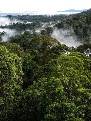 Brunei Wallpaper HD Screenshot 1