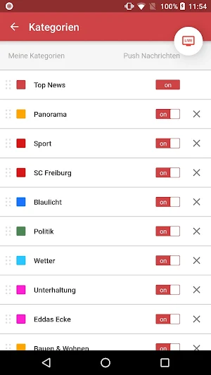 Baden TV Süd Screenshot 3