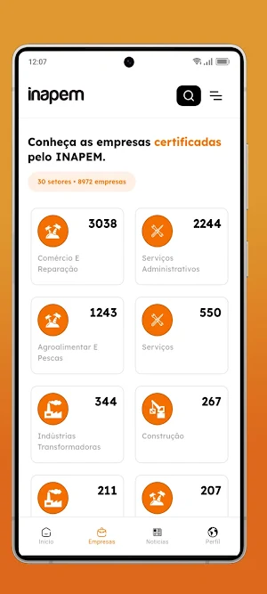 Inapem Screenshot 2