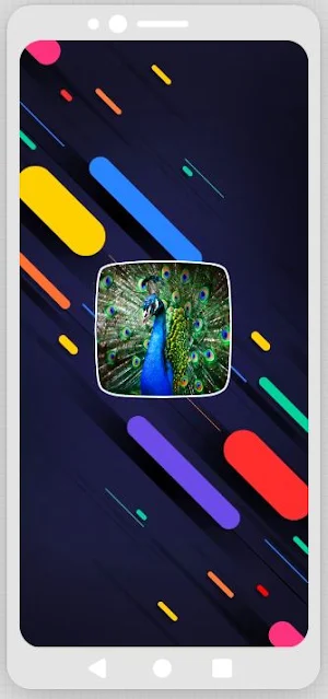 Peacock Sounds Screenshot 0