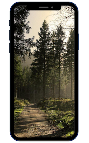 Forest Wallpapers Screenshot 2