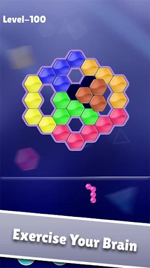 All Block Puzzle Game Pro Screenshot 1