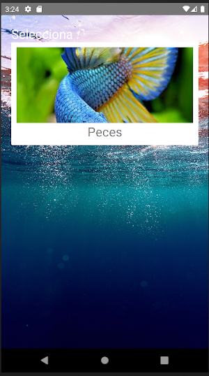 Rompecabezas de Peces Screenshot 0