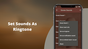 Goose Sounds - Goose hunting calls Screenshot 2
