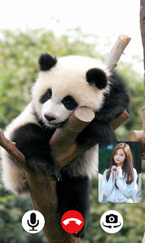 Baby Panda Video Call Screenshot 2