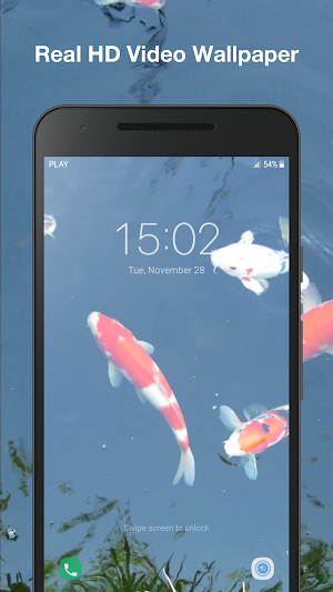 Koi Fish Live Wallpaper Screenshot 2
