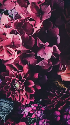 Flowers Wallpapers Screenshot 0