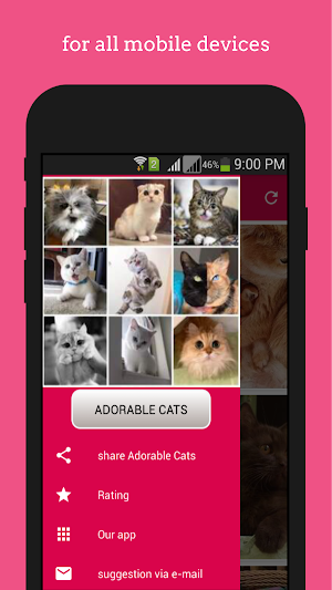 Adorable Cats wallpapers Screenshot 2