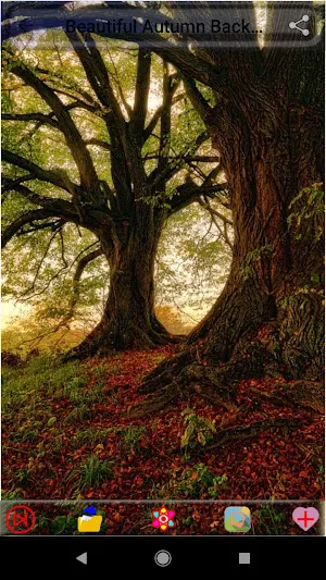Beautiful Autumn Backgrounds Screenshot 2