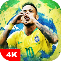 Brazil National Football Team