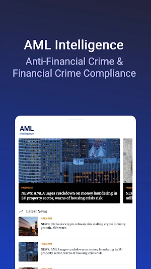 AML Intelligence Screenshot 3