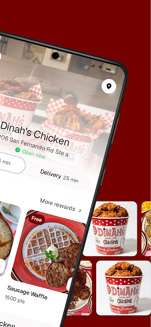Dinah's Chicken Screenshot 1