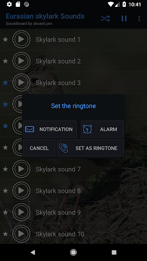 Skylark Bird Sounds ~ Sboard.pro Screenshot 2