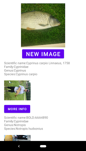Fish identifier Screenshot 0