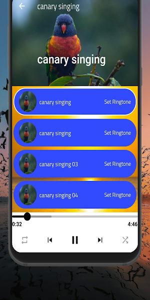 bird sounds : Birds Ringtones Screenshot 1