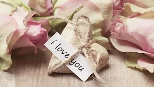 Valentine day wallpapers Screenshot 0
