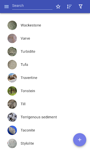 Sedimentary rocks Screenshot 0