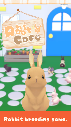 RabbitCafe Screenshot 0