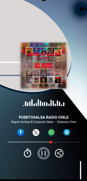 PUERTOSALSA RADIO CHILE Screenshot 0