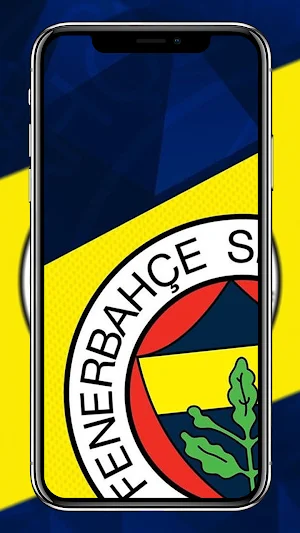 Fenerbahce Wallpapers screenshot 6