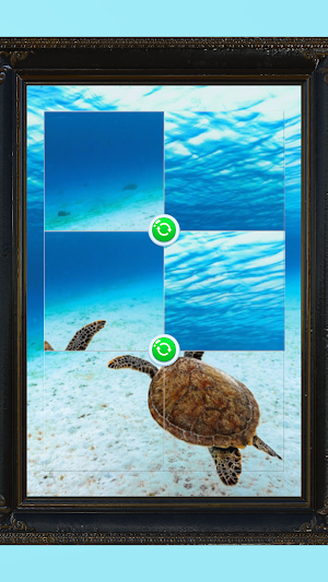 Spin Jigsaw Puzzle Screenshot 2