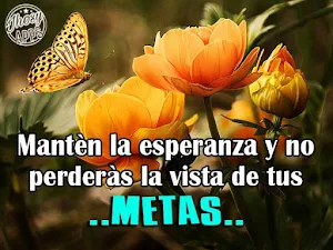 Frases de Esperanza y Ánimo Screenshot 3