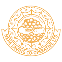 Nepa Saving iSmart