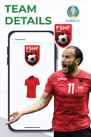 UEFA EURO CUP Screenshot 3