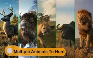 Wild Animal Hunting Games 2021: FPS Animal Hunter Screenshot 1