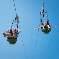 Zip lining Wallpaper
