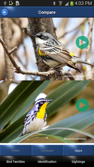 Bird Id North America Screenshot 2
