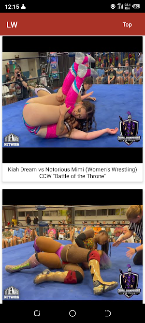 Ladies Wrestling Screenshot 3