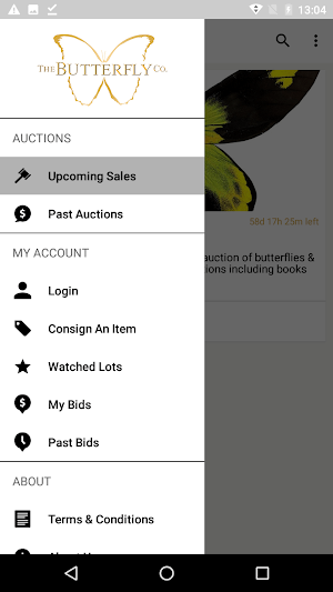The Butterfly Company Auction Screenshot 3