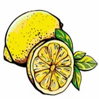 Lemonvtu App