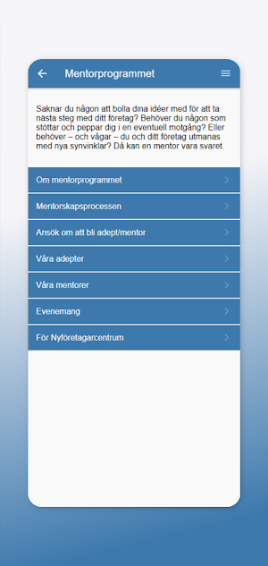 Nyföretagarcentrum Kronoberg Screenshot 1