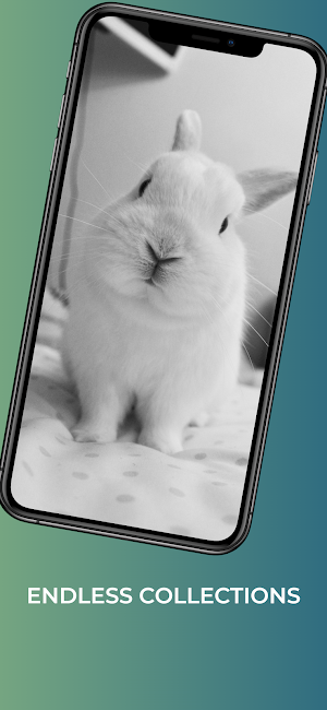 Rabbit wallpapers-4k animals Screenshot 2