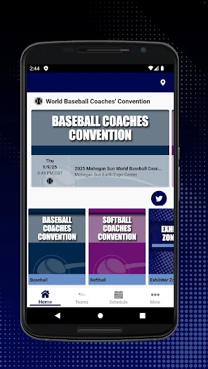 World Baseball and Softball CC Screenshot 0