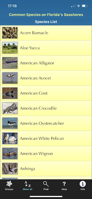 Florida Seashore Wildlife Screenshot 0