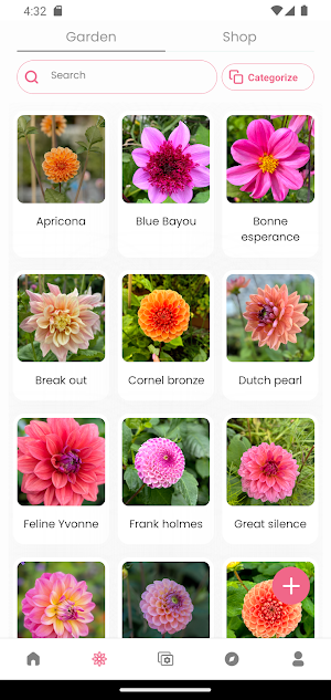 My Dahlia Garden Screenshot 3