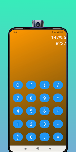 RoyalArithmetic Screenshot 1