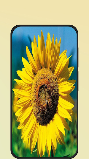 flower pictures Screenshot 2