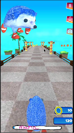 The Very Fast Sanic Adventure Screenshot 0