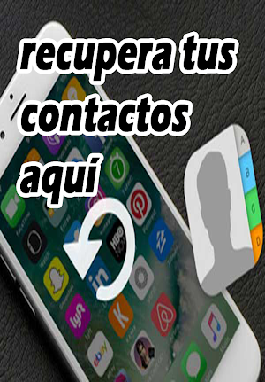 Como Recuperar mis Contactos Screenshot 3