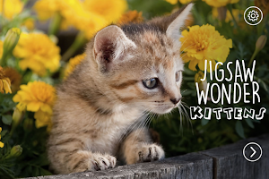 Kittens Jigsaw Puzzle Games Screenshot 0
