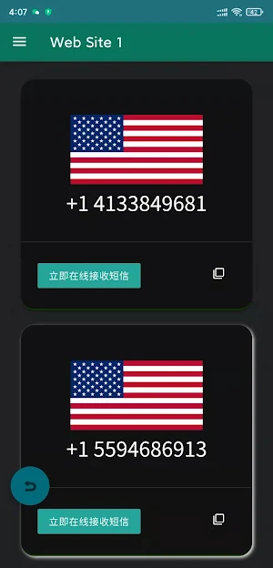 SMS-Activate -sms verify Screenshot 1
