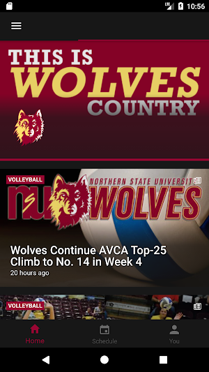 NSU Wolves Screenshot 0