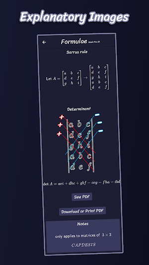 Formulae Math English Version Screenshot 2