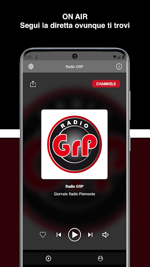 Radio GRP Screenshot 1